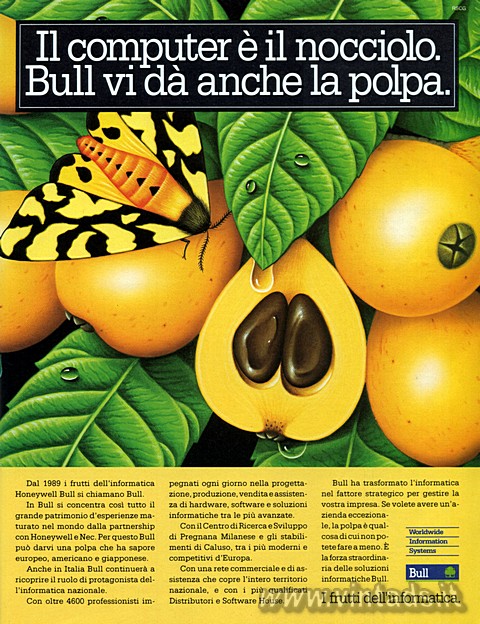 2424x3152 JPG Il computer è il nocciolo.
Bull vi da anche la polpa.
Dal 1989 i frutti dell&