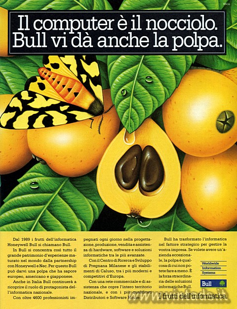 Il computer  il nocciolo.
Bull vi da anche la polpa.
Dal 1989 i frutti dell&#