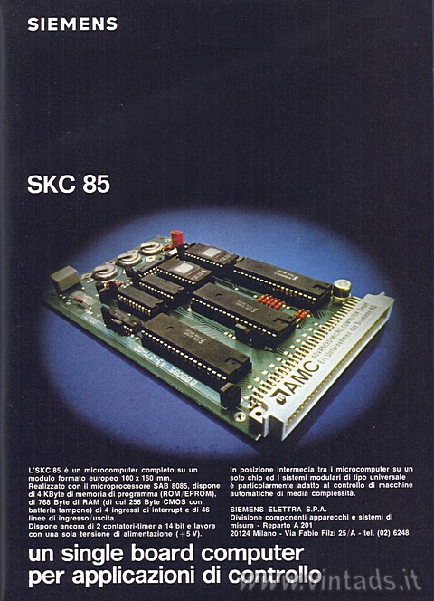 3239x4478 JPG