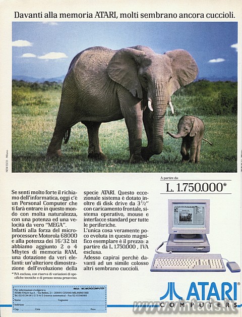 3221x4215 JPG elefante