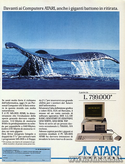 3199x4215 JPG balena