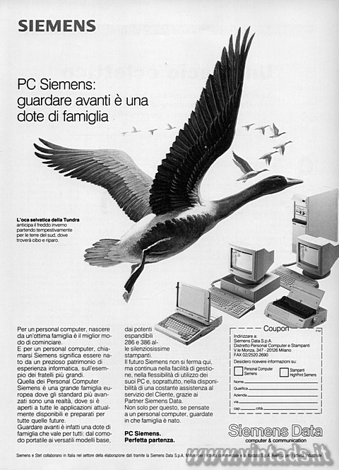 2367x3280 JPG
